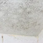 Business 26 image SERVPRO OF EVERGREEN PARK / SOUTH CHICAGO CITY Water Damage Restoration in Chicago IL