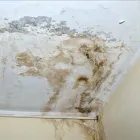 Business 32 image SERVPRO OF EVERGREEN PARK / SOUTH CHICAGO CITY Water Damage Restoration in Chicago IL