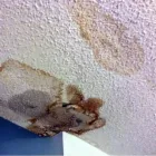 Business 36 image SERVPRO OF EVERGREEN PARK / SOUTH CHICAGO CITY Water Damage Restoration in Chicago IL