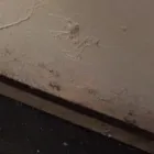 Business 46 image SERVPRO OF EVERGREEN PARK / SOUTH CHICAGO CITY Water Damage Restoration in Chicago IL