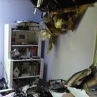 Business 47 image SERVPRO OF EVERGREEN PARK / SOUTH CHICAGO CITY Water Damage Restoration in Chicago IL