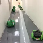 Business 10 image SERVPRO OF HOCKESSIN / ELSMERE Mold Testing & Removal in Wilmington DE