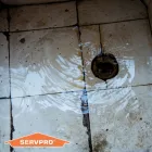 Business 23 image SERVPRO OF HOLLYWOOD/HALLANDALE/AVENTURA Water Damage Restoration in Aventura FL