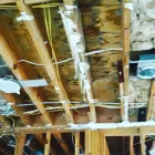 Business 2 image SERVPRO OF LA HABRA / WEST FULLERTON | MERGED wildfire restoration services in Fullerton CA