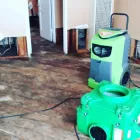 Business 12 image SERVPRO OF LA HABRA / WEST FULLERTON | MERGED wildfire restoration services in Fullerton CA