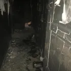 Business 13 image SERVPRO OF LA HABRA / WEST FULLERTON | MERGED wildfire restoration services in Fullerton CA