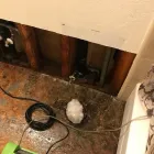 Business 16 image SERVPRO OF LA HABRA / WEST FULLERTON | MERGED wildfire restoration services in Fullerton CA