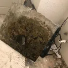 Business 17 image SERVPRO OF LA HABRA / WEST FULLERTON | MERGED wildfire restoration services in Fullerton CA