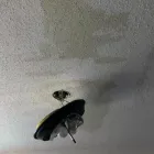 Business 6 image SERVPRO OF MARQUETTE PARK / WEST LAWN / FORD CITY Water Damage Restoration in Chicago IL