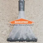 Business 32 image SERVPRO OF ST. LOUIS COUNTY NW Mold Testing & Removal in St Louis MO