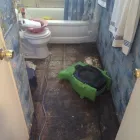 Business 51 image SERVPRO OF ST. LOUIS COUNTY NW Mold Testing & Removal in St Louis MO