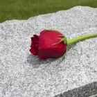 Business 6 image SHIRLEY BROTHERS MORTUARIES & CREMATORY-DREXEL CHAPEL Funerals in Indianapolis IN