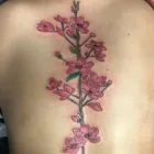 Business 22 image SIDESHOW TATTOOS & PIERCINGS Tattoo Shop in Enterprise AL