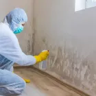 Business 1 image SILICON VALLEY CAPITAL WATER DAMAGE EXPERTS Water Damage Damage Claims in San Jose CA