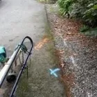 Business 3 image SIMPLY LEAK DETECTION Drain Sewer Cleaning in Kirkland WA