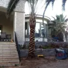 Business 1 image SIN CITY TREE SERVICES in Las Vegas NV