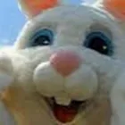 Business 7 image SINGING TELEGRAMS Singing Telegrams in Chicago IL