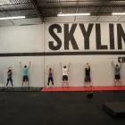 Business 2 image SKYLINE CROSSFIT Gyms & Fitness Centers in Houston TX