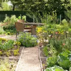 Business 7 image SLOVACK BASS in Houston TX