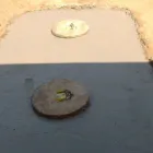 Business 4 image SLUDGEBUSTERS SEPTIC SERVICE Septic Tank Service in Ramona CA