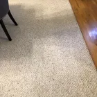 Business 2 image SMART CARPET CLEANING Power Washing in Federal Way WA