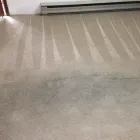 Business 4 image SMART CARPET CLEANING Power Washing in Federal Way WA