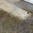 Business 12 image SMART CARPET CLEANING Power Washing in Federal Way WA