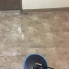 Business 27 image SMART CARPET CLEANING Power Washing in Federal Way WA