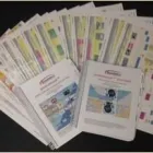 Business 1 image SMARTPATH LLC Research Organizations in Bellevue WA