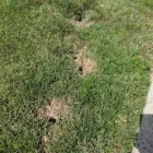 Business 2 image SMITH'S PEST MANAGEMENT Pest Control Service in San Jose CA
