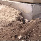Business 4 image SMITH'S PEST MANAGEMENT Pest Control Service in San Jose CA