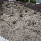 Business 6 image SMITH'S PEST MANAGEMENT Pest Control Service in San Jose CA