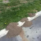 Business 18 image SMITH'S PEST MANAGEMENT Pest Control Service in San Jose CA