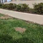 Business 20 image SMITH'S PEST MANAGEMENT Pest Control Service in San Jose CA