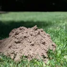 Business 22 image SMITH'S PEST MANAGEMENT Pest Control Service in San Jose CA