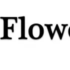 Business 1 image SOLANO FLOWER SHOP Shopping & Retail in Berkeley CA