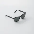 Business 4 image SOLSTICE SUNGLASSES Apparel & Fashion Accessories in King Of Prussia PA