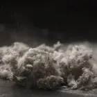 Business 3 image SOS ASBESTOS REMOVAL Environmental & Ecological Consultants in Flushing NY