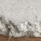 Business 4 image SOS ASBESTOS REMOVAL Environmental & Ecological Consultants in Flushing NY