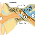 Business 1 image SOUNDGATE HEARING CLINIC - EDINA Hearing Loss Treatment for Seniors in Edina MN