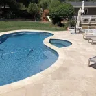 Business 6 image SOUTH BAY GUNITE EXCAVATION & STEEL Swimming Pool Contractors in San Jose CA