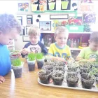 Business 15 image SOUTH COUNTY KINDERCARE Preschools in St. Louis MO
