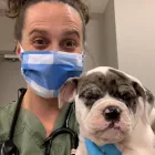 Business 1 image SOUTHWEST VETERINARY SURGICAL SERVICE, PC Veterinary Pharmacy in Scottsdale AZ