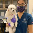 Business 2 image SOUTHWEST VETERINARY SURGICAL SERVICE, PC Veterinary Pharmacies in Tucson AZ