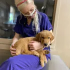 Business 3 image SOUTHWEST VETERINARY SURGICAL SERVICE, PC Veterinary Pharmacies in Tucson AZ