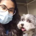 Business 8 image SOUTHWEST VETERINARY SURGICAL SERVICE, PC Veterinary Pharmacies in Tucson AZ