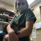 Business 9 image SOUTHWEST VETERINARY SURGICAL SERVICE, PC Veterinary Pharmacies in Tucson AZ