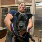 Business 10 image SOUTHWEST VETERINARY SURGICAL SERVICE, PC Veterinary Pharmacies in Tucson AZ