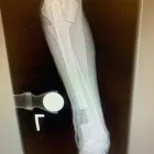 Business 11 image SOUTHWEST VETERINARY SURGICAL SERVICE, PC Veterinary Pharmacies in Tucson AZ