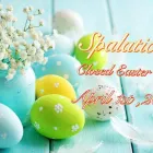 Business 24 image SPALATION Massage Therapists in Kansas City MO